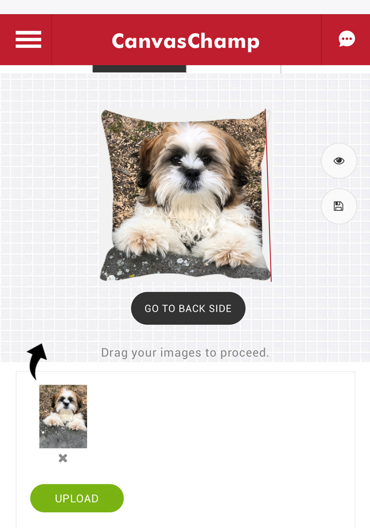 Canvas Champs offer custom canvas photo pillows and prints