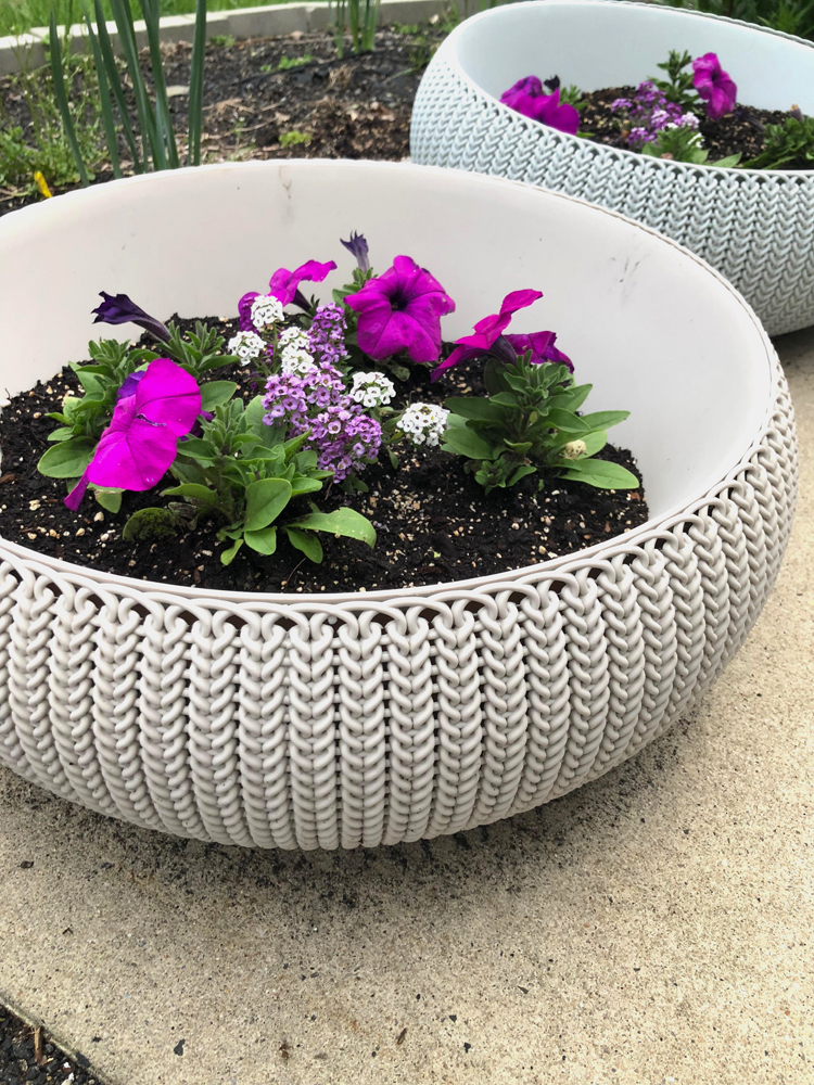 Keter resin planters planted with petunia and alyssum flowers