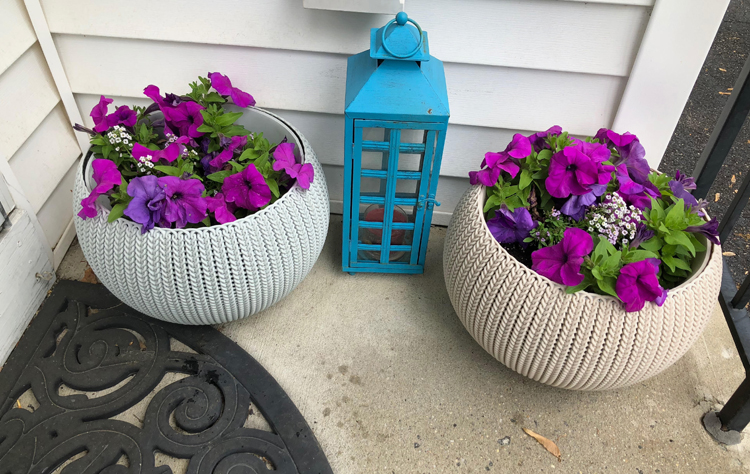 Resin planters with a knit texture and planted with petunia and alyssum flowers