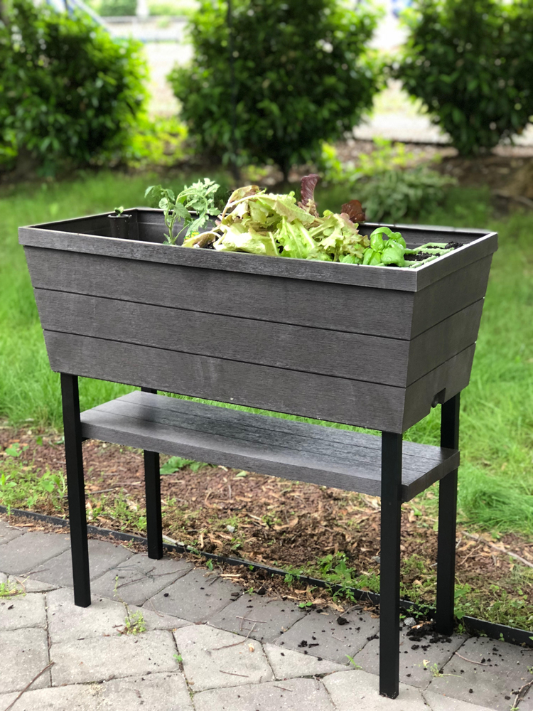 The Keter Urban Bloomer is perfect for growing vegetables (or flowers) on a patio or deck