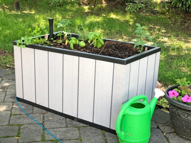 the Sequoia Planter by Keter makes gardening easier