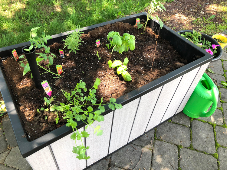 tall raised patio planter