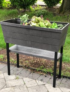 vegetables growing in a raised patio planter