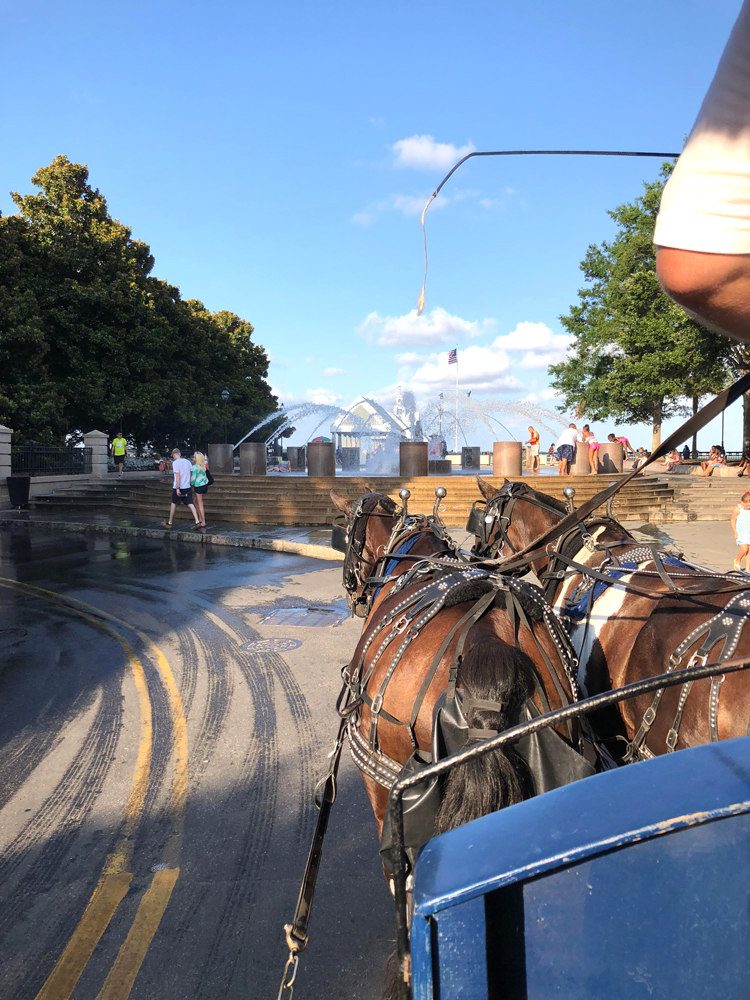 charleston carriage ride by the waterfront