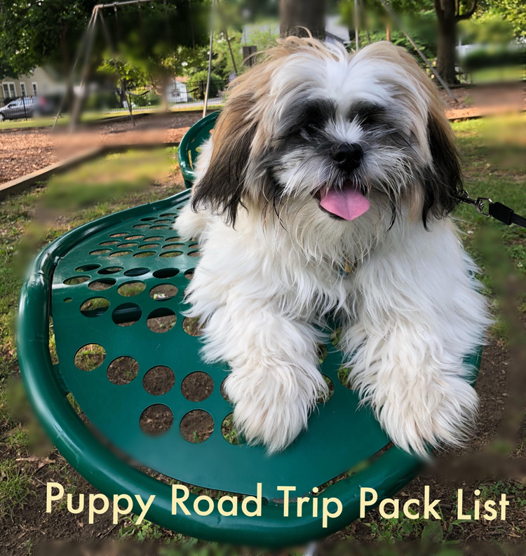 shih tzu puppy on a leaf shaped bench in a park