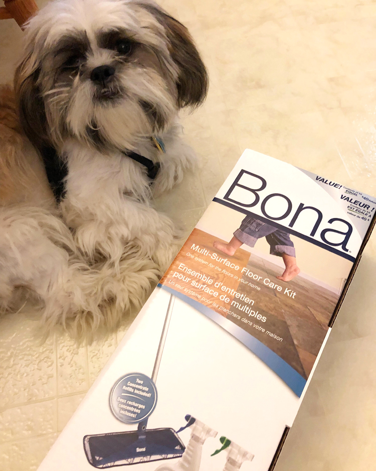 bona floor kit and Shih Tzu puppy