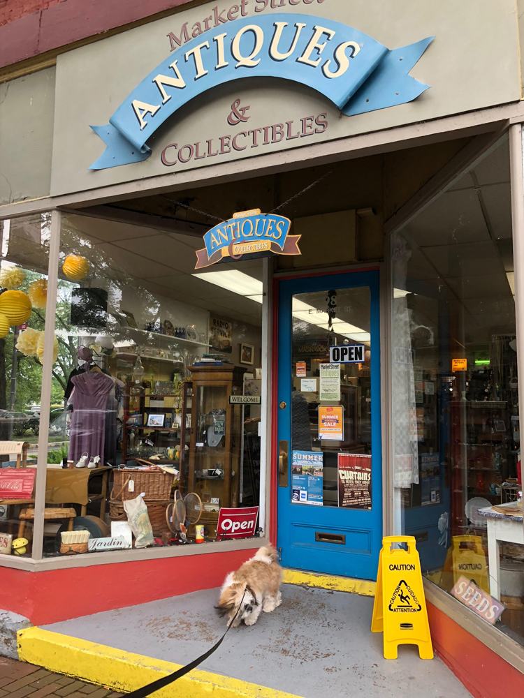 Corning antique store with Shih Tzu pupppy