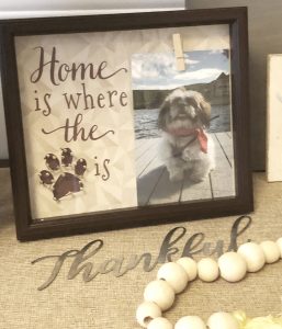 home is where the paw is dog photo frame