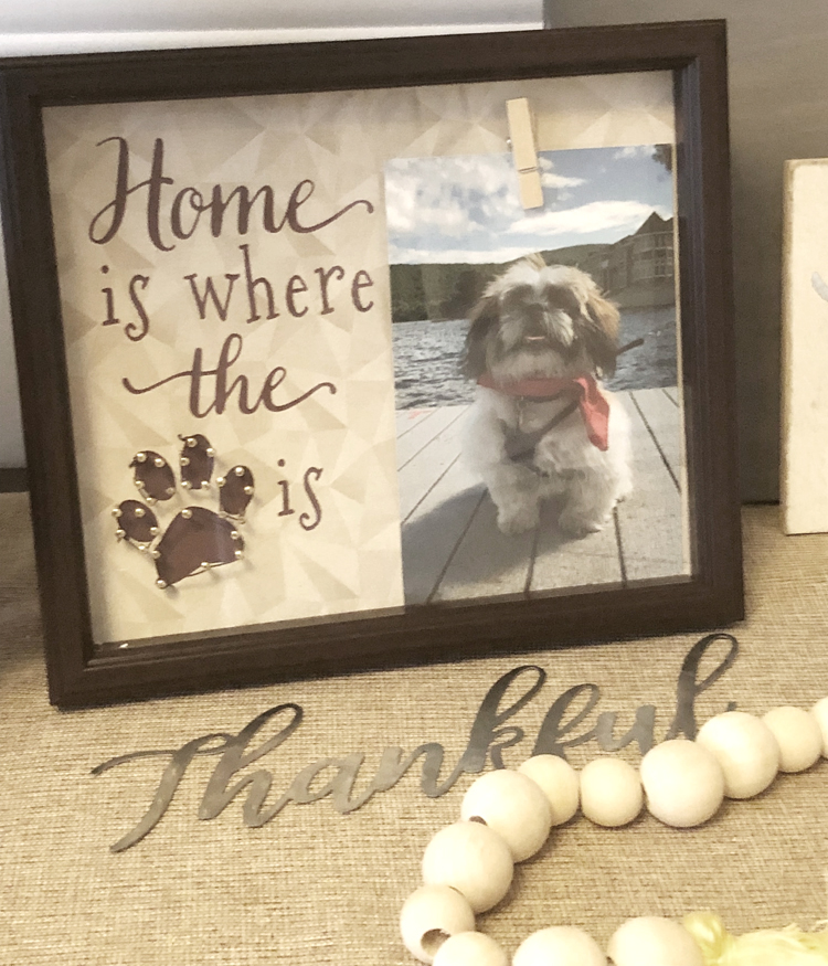 home is where the paw is dog photo frame