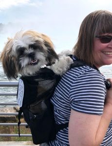 Shih Tzu puppy in a K9 Sport Sack at Niagara Falls