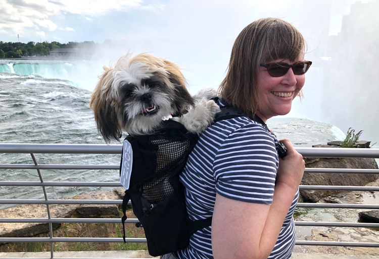 Shih Tzu puppy in a K9 Sport Sack at Niagara Falls