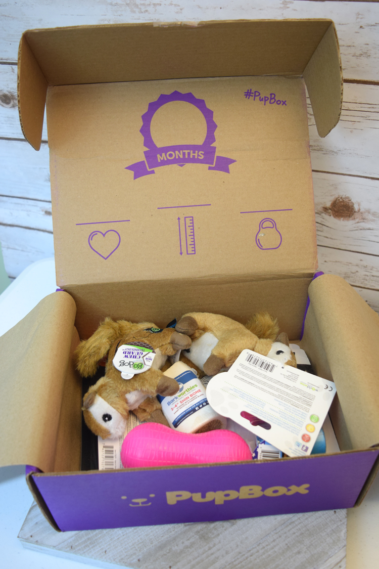 PupBox, a dog subscription box filled with dog treats and toys