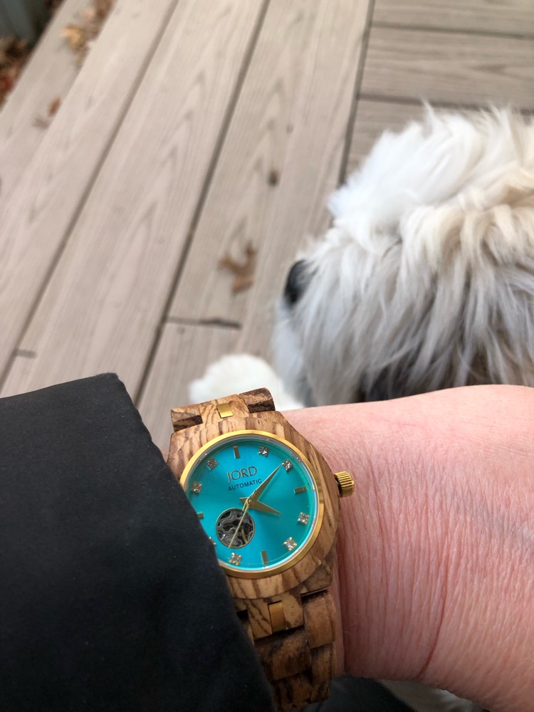 A Jord wood watch and a Shih Tzu puppy