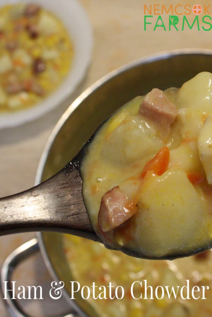 ham and potato chowder recipe