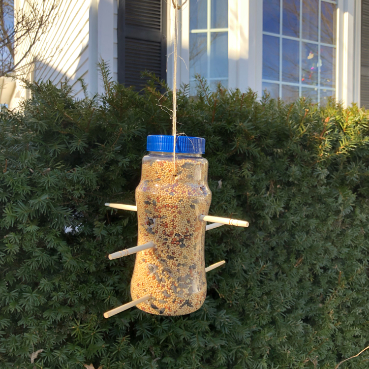 A simple bird feeder made from a used plastic bottle