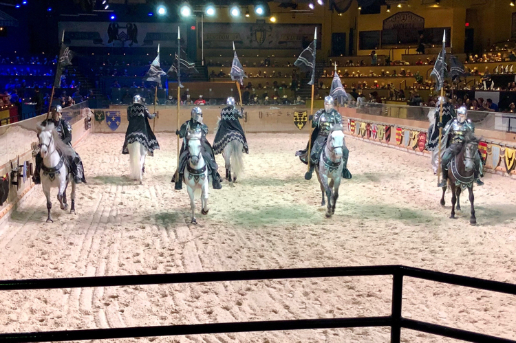 Medieval Times offers a fun two-hour show with gallant knights and beautiful horses.