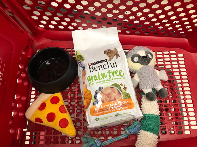 Target is a great place to find all your pet's needs