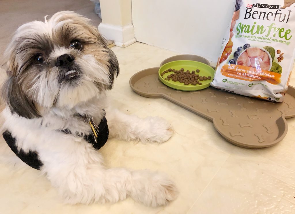 shihtzubenefuldrydogfood