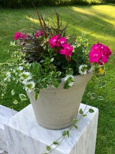 Beautiful potted flowers in Yaddo Gardens in Saratoga, NY