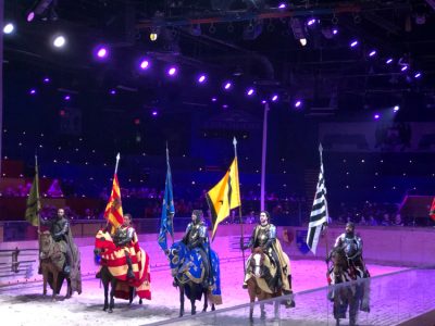 Medieval Times is an exciting, action-filled dinner show the whole family can enjoy.