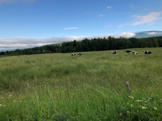 The area of Stowe Vermont features mountains, beautiful sky and plenty of breathtaking farmland.