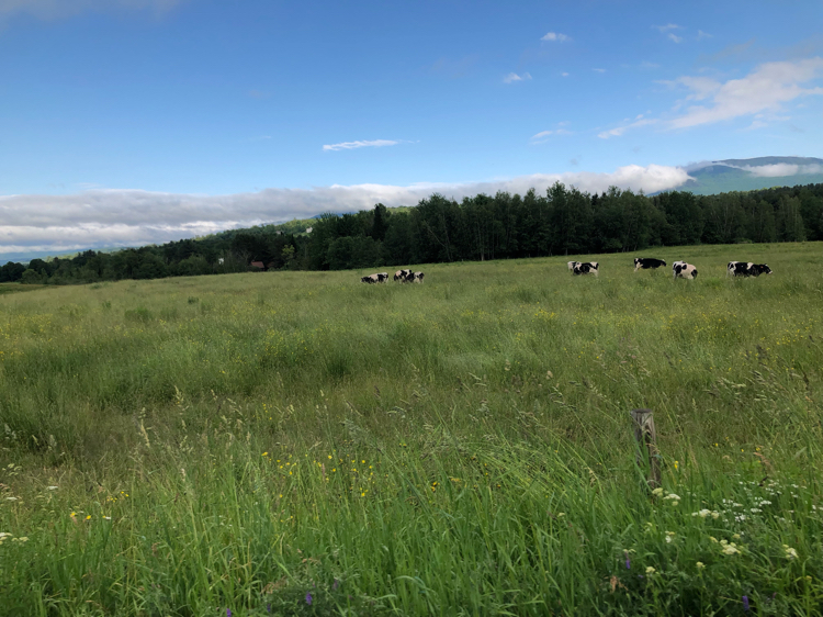 The area of Stowe Vermont features mountains, beautiful sky and plenty of breathtaking farmland.