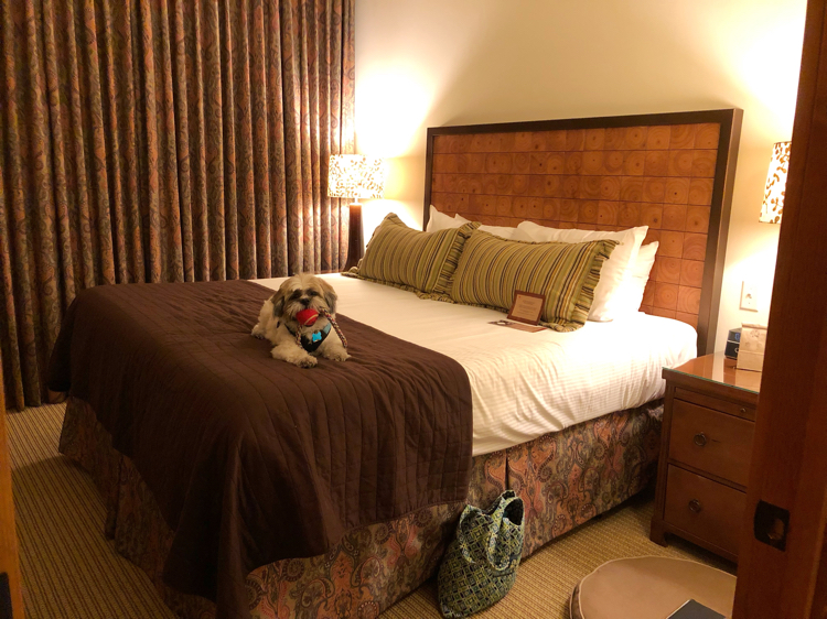 The one bedroom suite at the Lodge at Spruce Peak in Stowe, Vt., is quite comfy and beautiful.