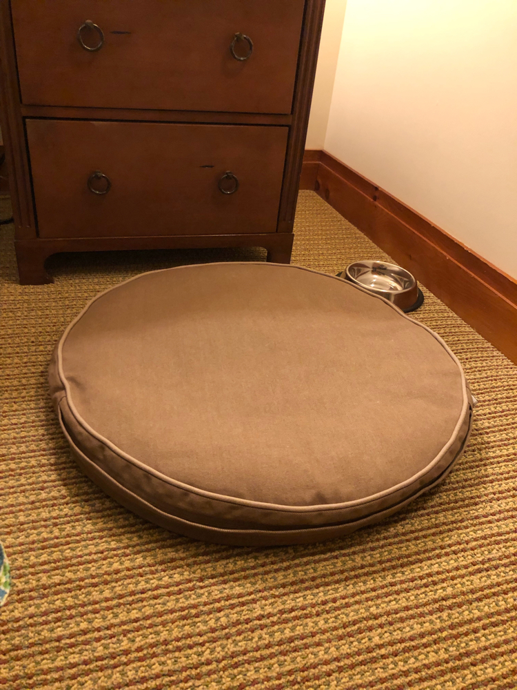 The Lodge at Spruce Peak is a pet friendly resort - they provided our pup with a comfy pet bed during our stay.