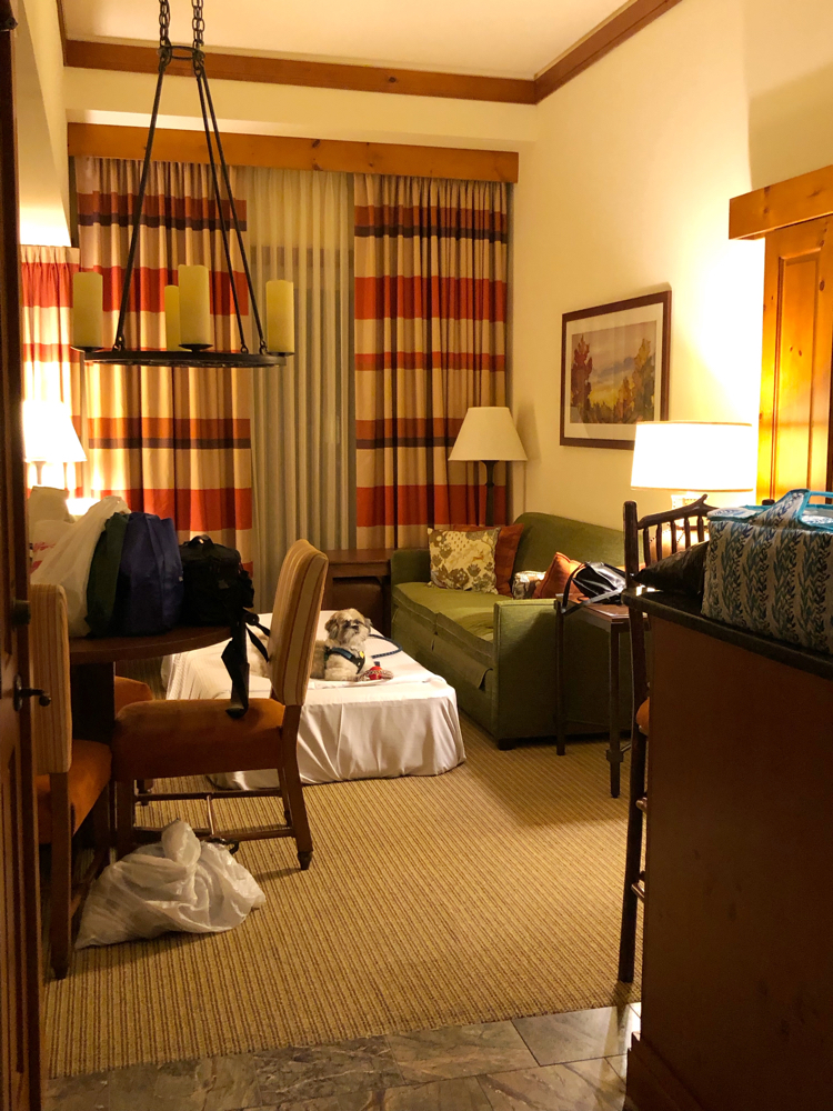 The luxurious living room in our one bedroom suite at the Lodge at Spruce Peak in Stowe, Vermont. (We had requested an extra air mattress but returned it - my daughters found the double sofa bed to be roomy enough for them to share.)