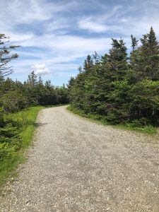 The mostly unpaved auto toll road in Stowe, Vermont, offers Adirondack and Lake Champlain views