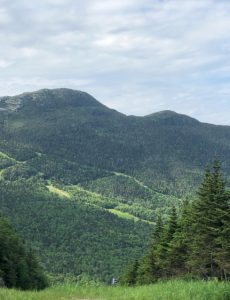 Some of the views that can be seen from the auto toll road in Stowe, Vermont .