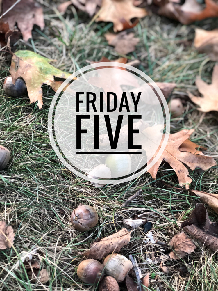 Friday Five - Mom Home Guide