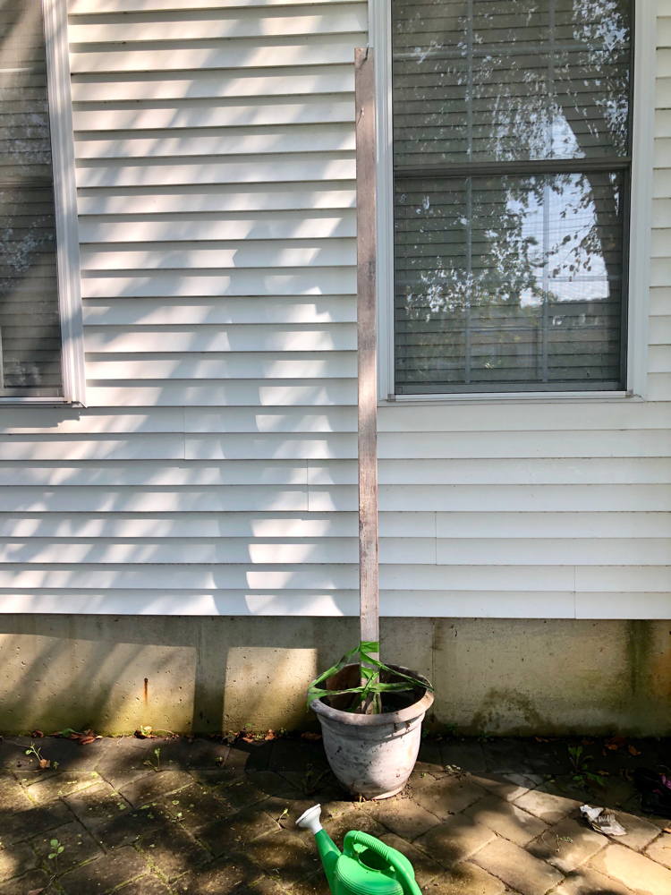 How to create DIY string light posts anchored in cement and planters