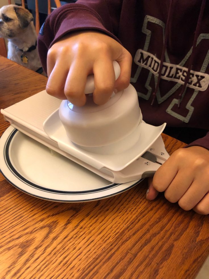 OvenBaked Apple Chips