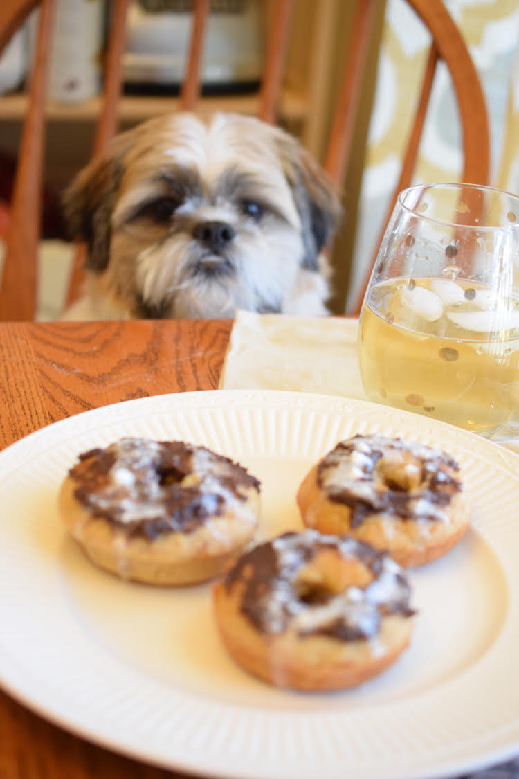 Shih Tzu puppy with homemade cinnamon roll donuts