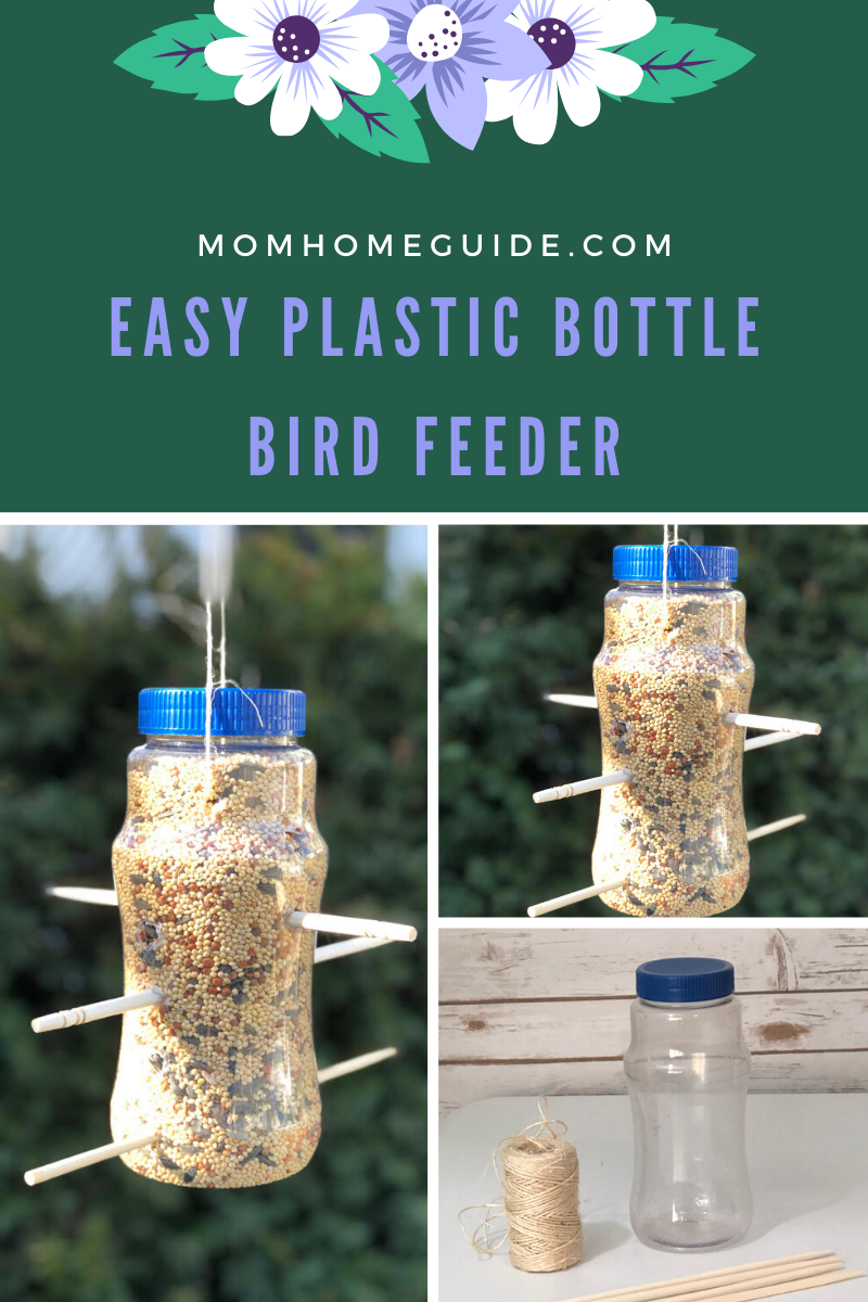 DIY water Feeder for wild bird from pet bottle 