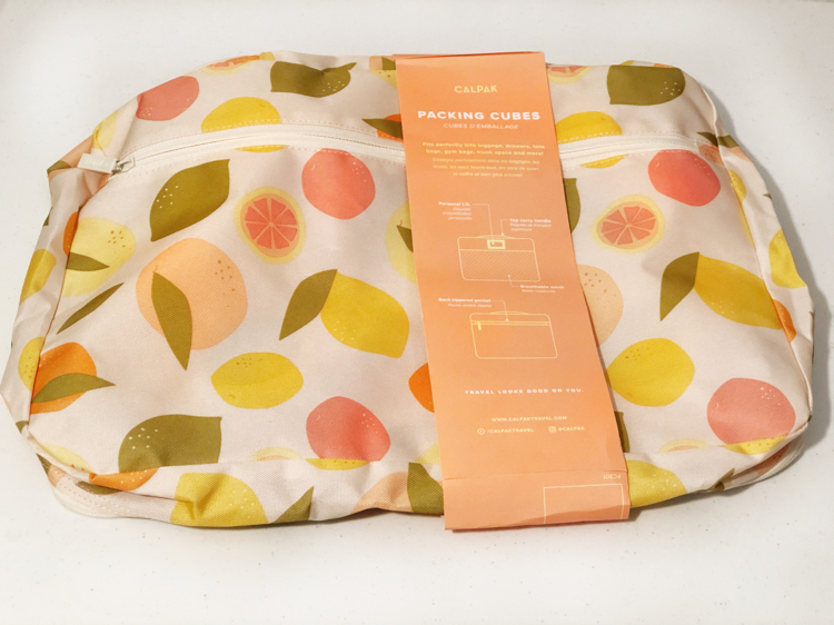 Calpak packing cubes in the spring FabFitFun subscription box