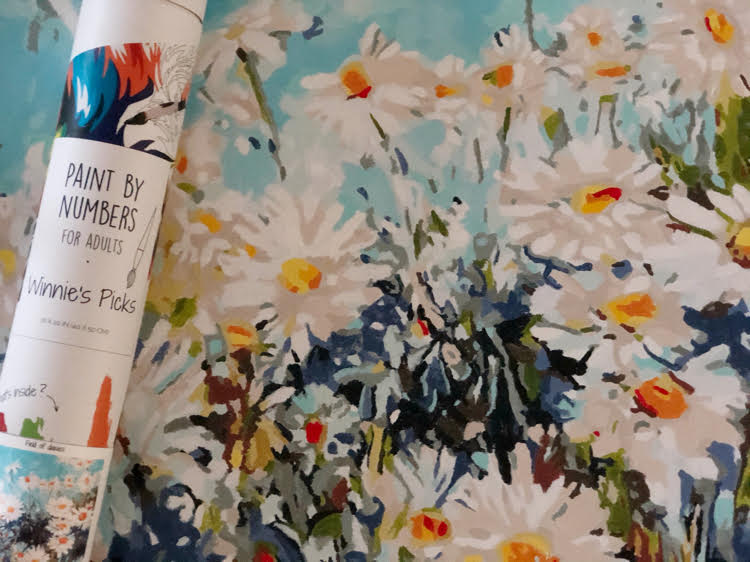 a painted field of daisies paint by numbers canvas