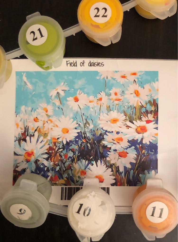 Field of Daisies paint by numbers kit