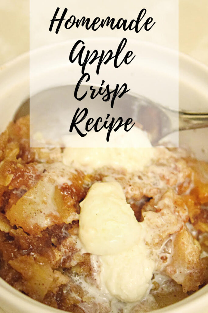 homemade apple crisp with vanilla ice cream