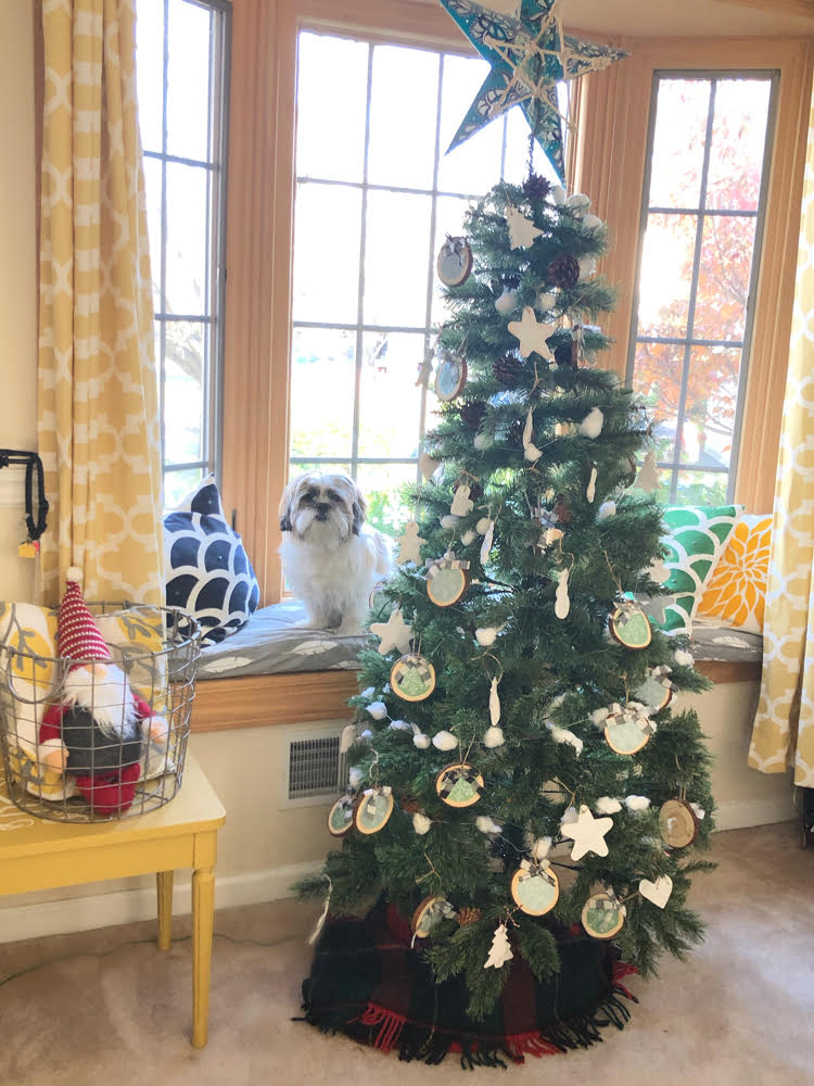 Shih Tzu in a bay window next to a finally decorated rustic Christmas tree