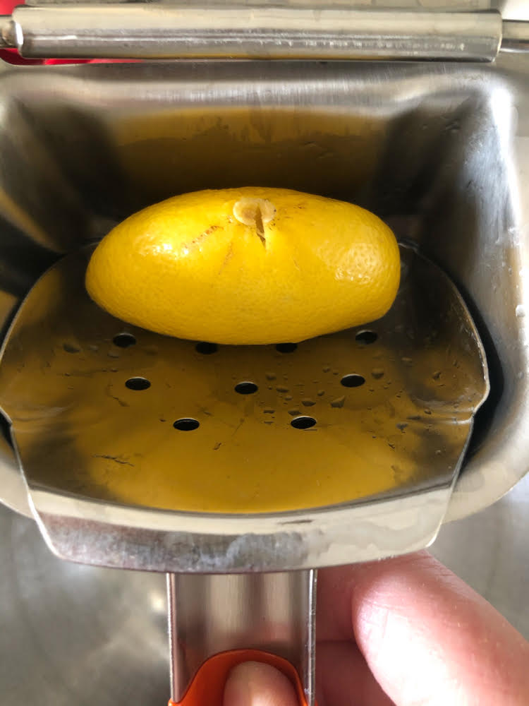 manual citrus and lemon juicer with a squeezed lemon inside