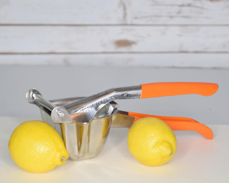 studry stainless steel juicer for lemons, oranges and limes