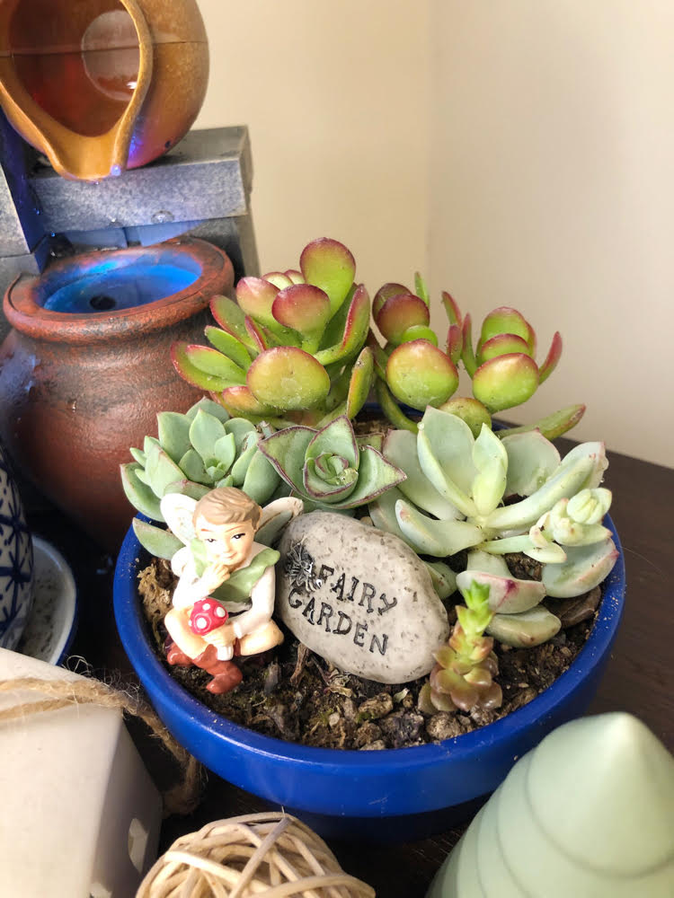 Arosezen succulent garden with fairy garden accessories