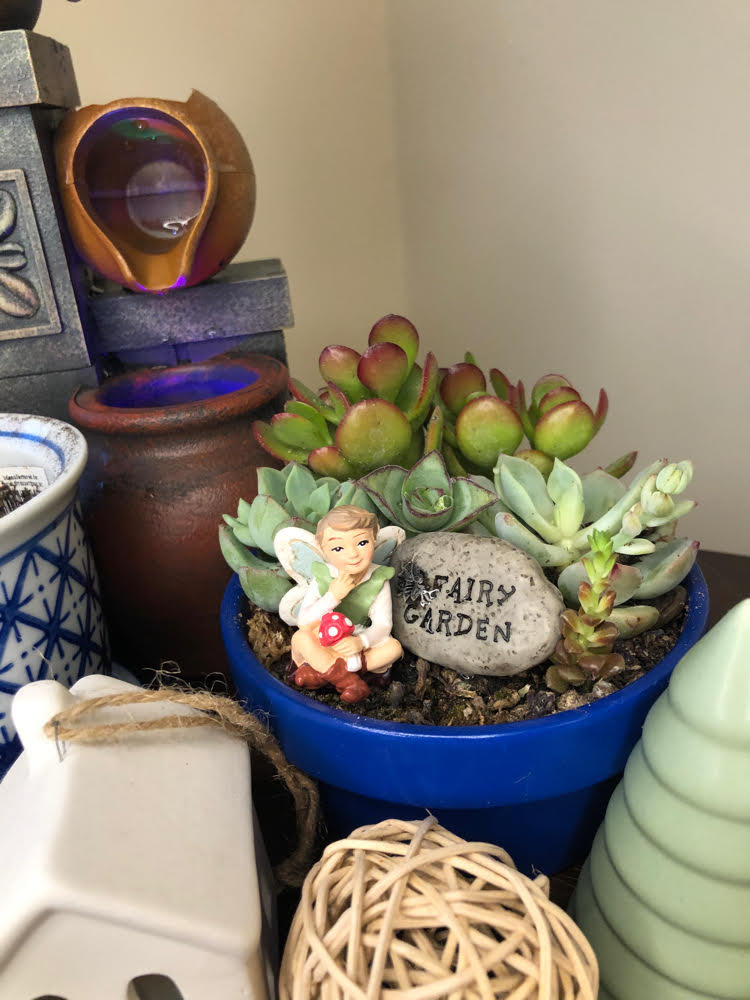 beautiful zen fairy garden with a succulent garden and fountain