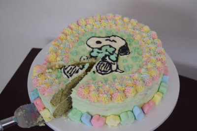 snoopy shamrock cake frosted with green and rainbow frosting