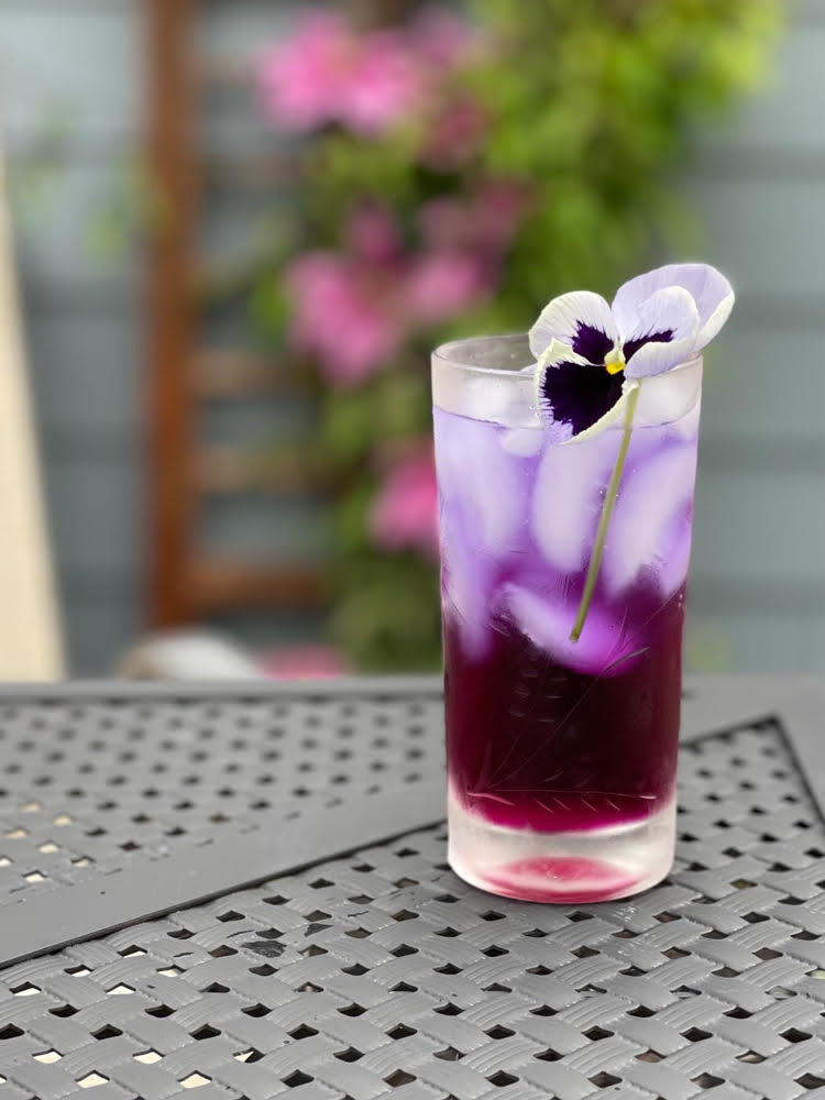 beautiful purple hibiscus gin fritz