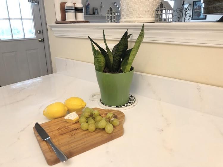 cutting board with brie and grapes next to lemons and a snake plant on a beautiful Giani epoxy marble counter