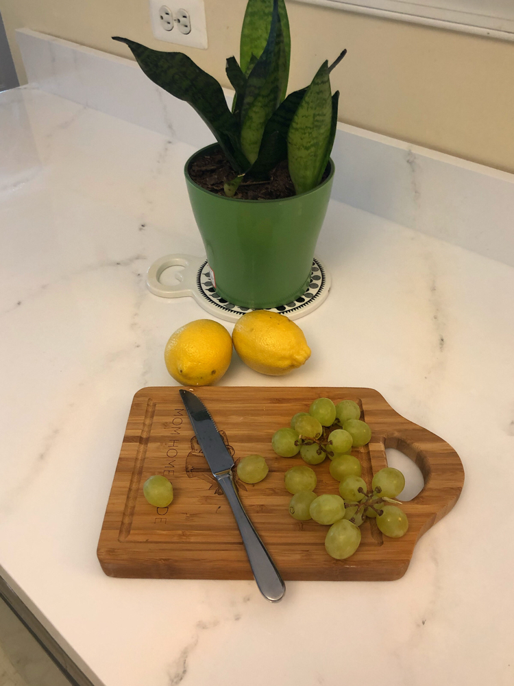 new "marble" counters - these laminate counters are painted with a Giani marble kit and given a glossy and durable top coat