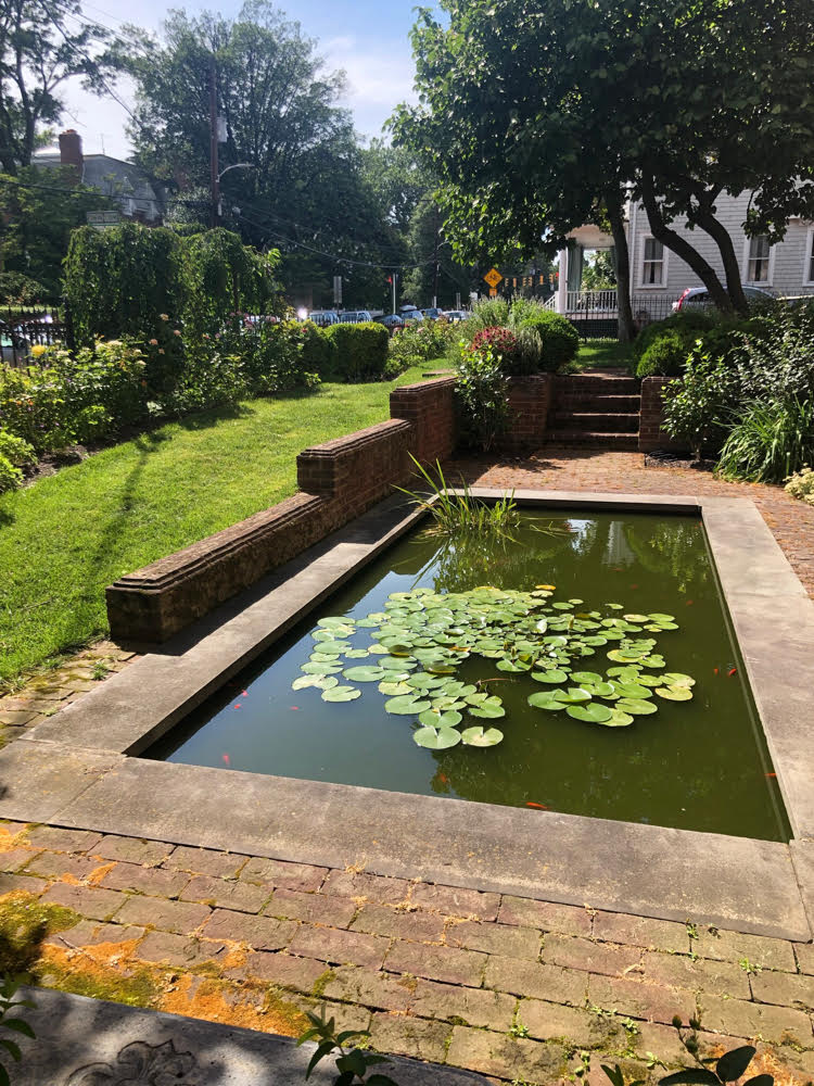 beautiful backyard pond with lily pads in Annapolis, Maryland